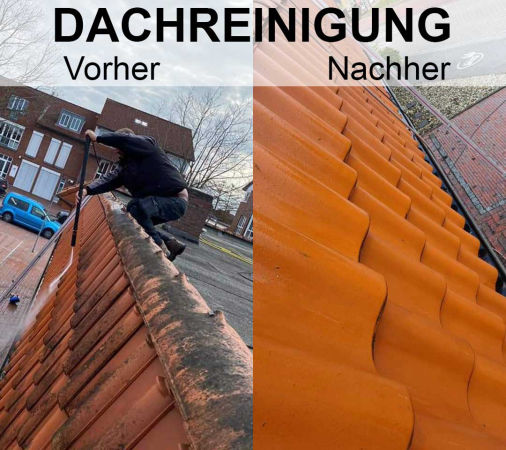 Karaki Dachreinigung